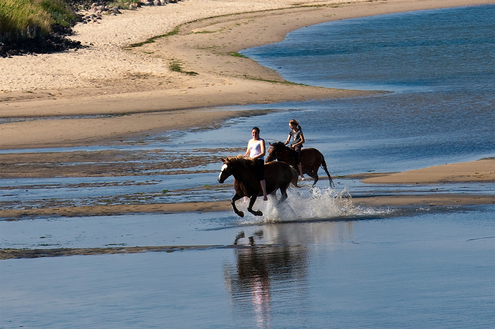 Reiten